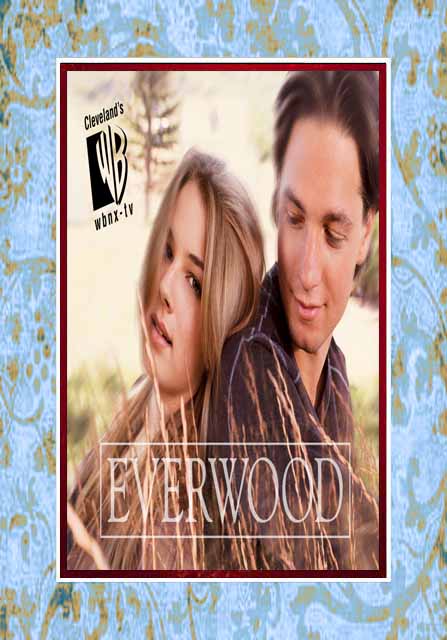 Everwood - Complete Series (image for) Everwood - Complete Series