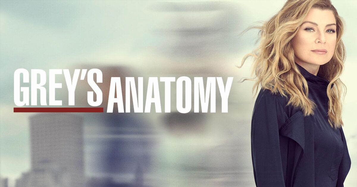 Greys Anatomy / Grey's Anatomy - Season 21 (image for) Greys Anatomy / Grey's Anatomy - Season 21