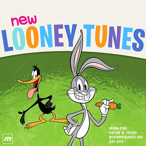 New Looney Tunes - Seasons 1-3 (image for) New Looney Tunes - Seasons 1-3
