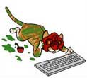 Dropbox Delivery