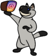 Insta!
